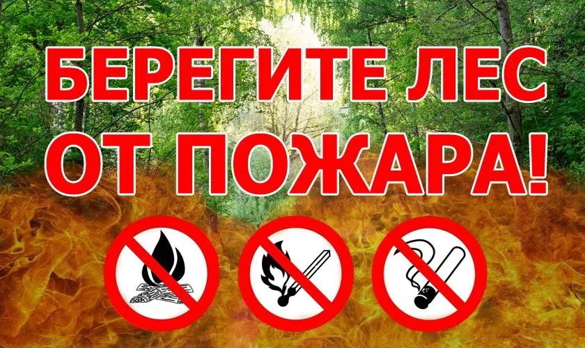 Пожарная безопасность в лесу.